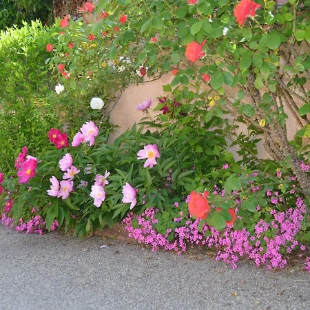 منزل للإقامة L'oliu De L'oustalet