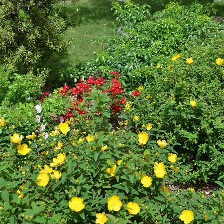 L'oliu De L'oustalet Homestay *