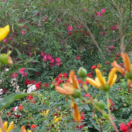 Habitación en casa particular L'oliu De L'oustalet Castelsarrasin