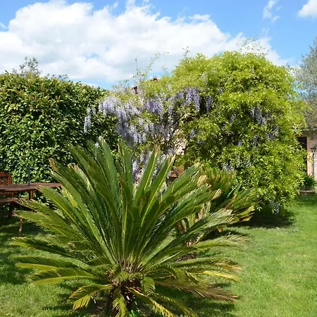 L'oliu De L'oustalet *