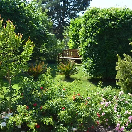 L'oliu De L'oustalet *