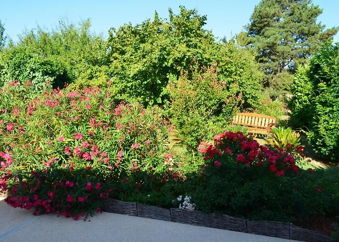 L'oliu De L'oustalet