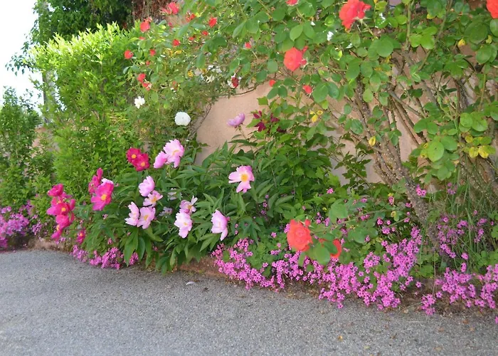 בית אירוח L'oliu De L'oustalet