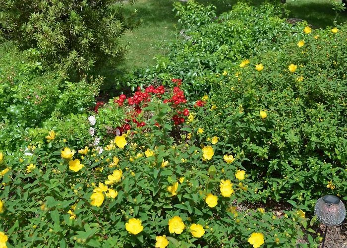 L'oliu De L'oustalet Habitación en casa particular *