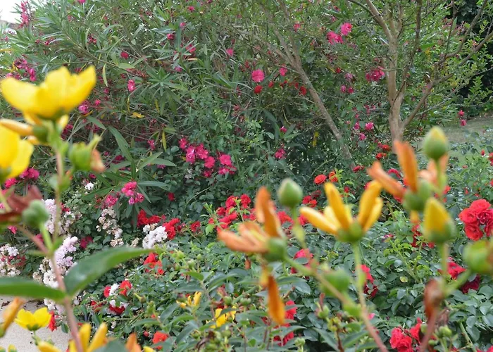 בית אירוח L'oliu De L'oustalet קסטלסרסין