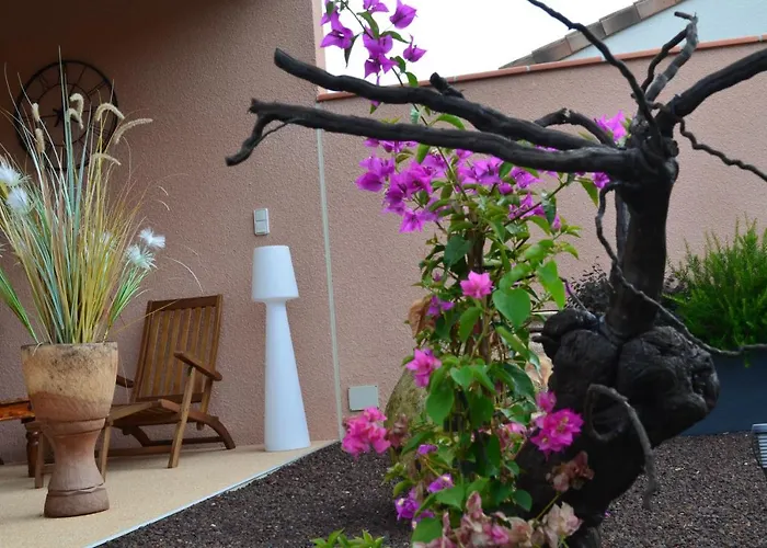 L'oliu De L'oustalet Habitación en casa particular