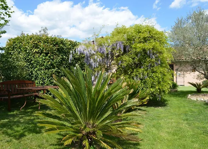 L'oliu De L'oustalet *